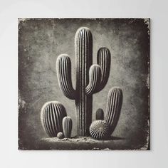 a black and white photo of a cactus in the desert, with an old - fashioned background