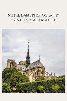 #NotreDamePhotography #BlackAndWhitePrints #ParisianArt Cathédrale Notre-dame, City Quotes, Parisian Art, Notre Dame Cathedral, Child Smile