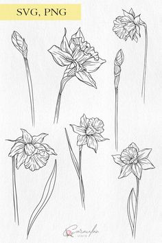 some flowers that are drawn in pencil and watercolor on paper, with the words svg