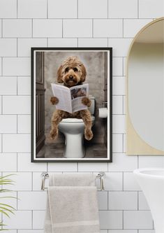 a brown dog sitting on top of a toilet reading a newspaper while holding a towel