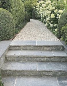 the steps lead up to some bushes and trees