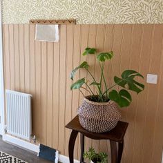 a potted plant sitting on top of a table next to a radiator