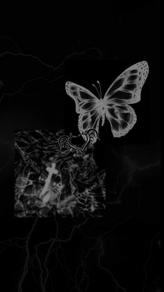 a black and white photo with a butterfly on it's back side, lightning in the background