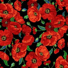 an image of red flowers on black background