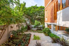 an outdoor courtyard with trees and plants