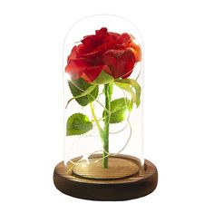 a red rose in a glass dome on a wooden base with water droplets and green leaves