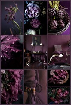 a collage of photos with purple flowers