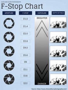 an info sheet showing the different types of photoshopped images and their corresponding shapes