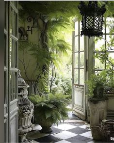 an open door leading into a lush green room with potted plants on either side