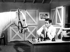 a man is playing chess with a horse