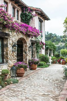 a cobblestone walkway with potted plants and flowers