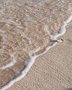 an ocean wave rolls in on the beach