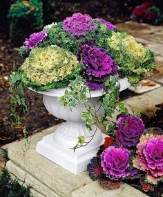 purple and yellow flowers in a white urn on a stone walkway surrounded by greenery