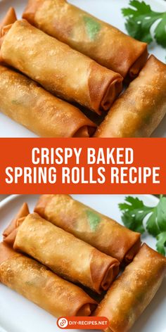 crispy baked spring rolls recipe on a white plate