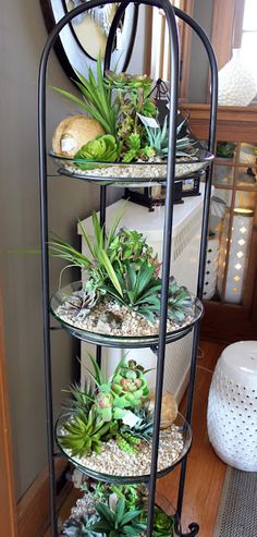 three tiered plant stand with succulents and plants on the bottom shelf