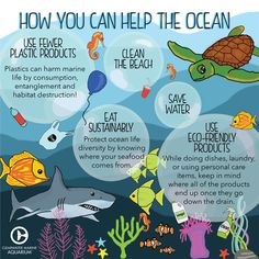 the ocean is full of different types of marine animals and their uses to help them understand what they are