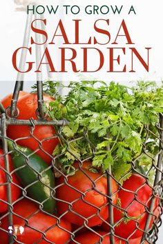 a basket full of tomatoes and cucumbers with the title how to grow a salsa garden