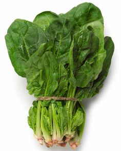 some green leafy vegetables on a white background