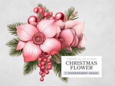 a bouquet of pink flowers and greenery with the words christmas flower transparent image above it