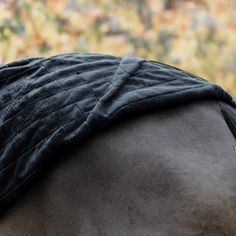 the back of a man's head wearing a black hat