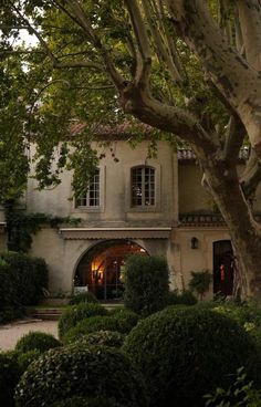 an old house with trees and bushes around it