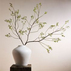 a white vase with some green leaves in it on a table next to a wall