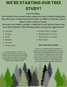 an advertisement with trees and the words, we're starting our tree study