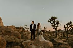 a bride and groom standing on top of a rock in the desert with joshua trees