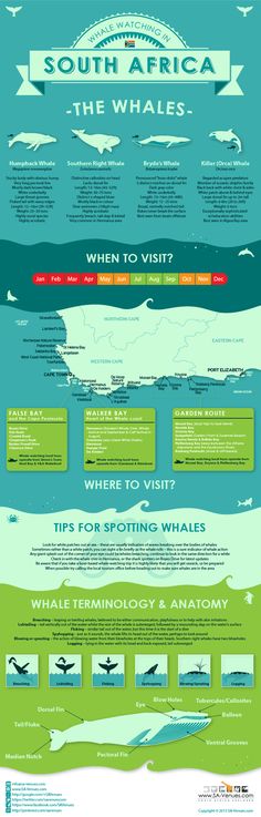 an info sheet with different types of boats in the water and on top of each other