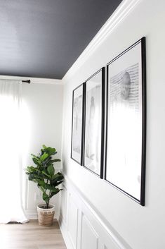 a potted plant sitting next to two framed pictures on the wall in a white room