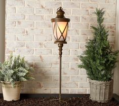 an outdoor lamp next to two potted plants