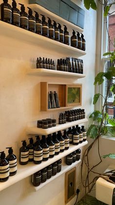 the shelves are filled with many different types of bottles and containers on them, along with a potted plant