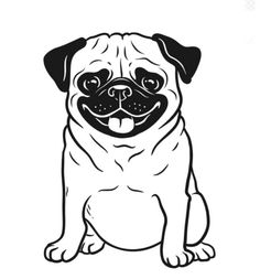 a black and white drawing of a pug