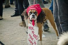 a dog wearing a red bandana and holding a sign