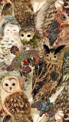 an image of many owls in the woods