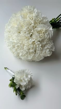 white carnations and greenery laid out on a white surface with the stems still attached