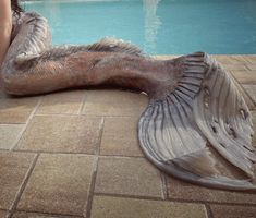 a large fish laying on the ground next to a swimming pool