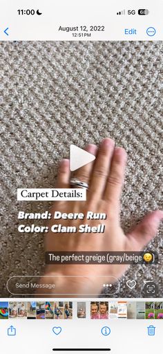 someone is holding their hand up to show the color scheme for carpet details on an iphone