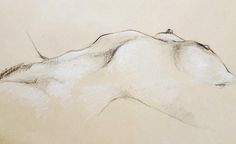 a pencil drawing of a white horse's head and tail, viewed from the side