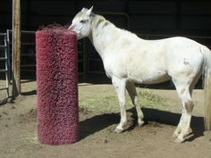 a white horse standing next to a purple pole