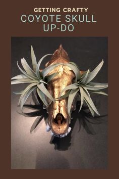 a cow's head with plants growing out of its mouth and the words getting crafty coyote skull up - do