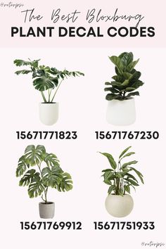 the best houseplants for your plant decal code