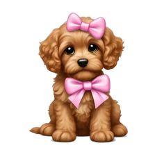 a brown puppy with a pink bow sitting down