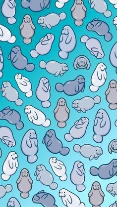 an image of many different animals on a blue background