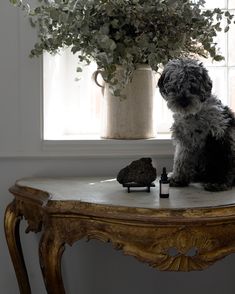 a dog sitting on a table next to a vase with flowers in it and a rock