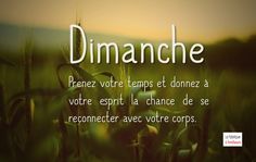 the words dimanche are written in french on a green field with tall grass