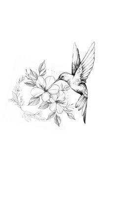 a black and white drawing of a hummingbird flying over flowers with its wings spread