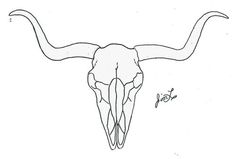 a drawing of a bull's skull with long horns