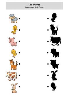 an animal and other animals are shown in this worksheet