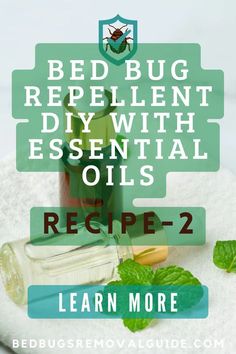 a bottle of essential oils with mint leaves on top and the words, bed bug repellent diy with essential oils recipe - 2 learn more